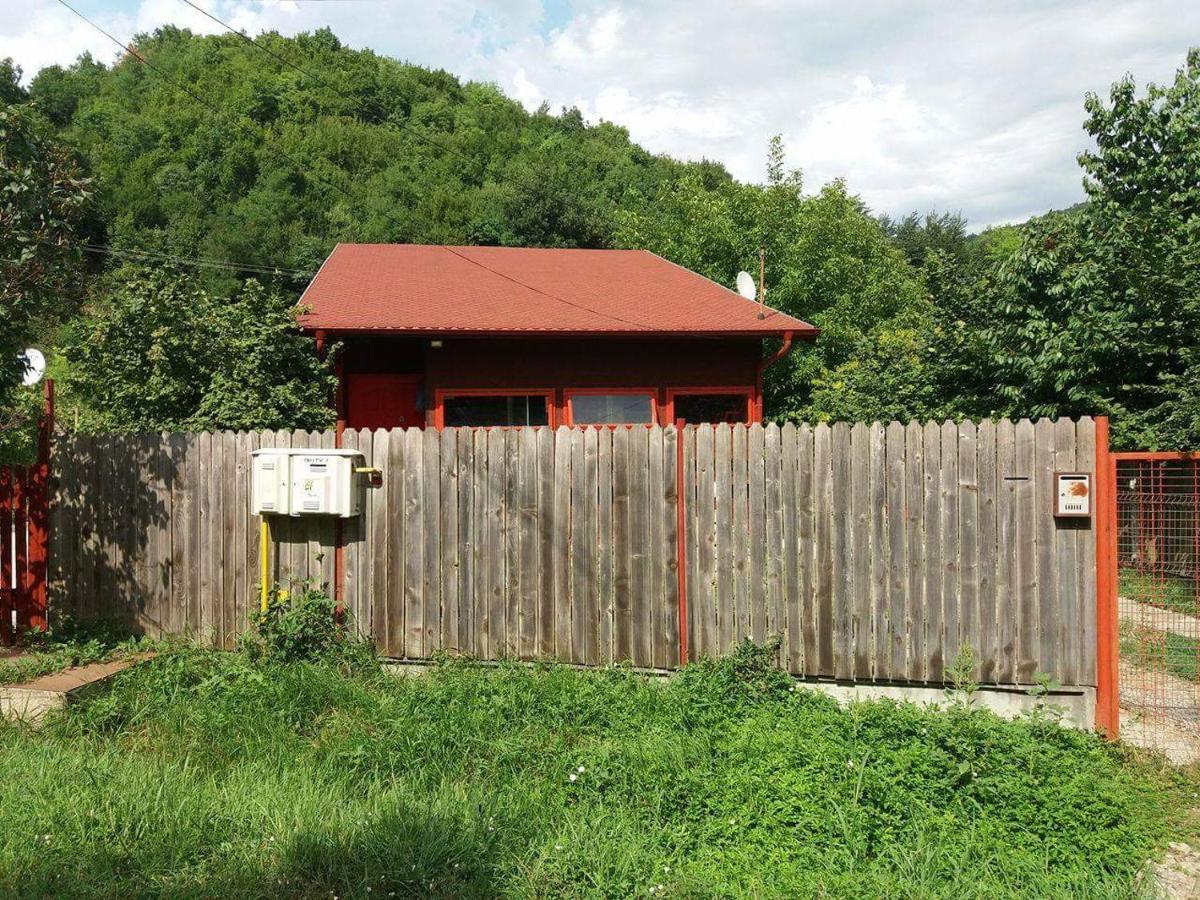 Canadian House Sărata-Monteoru Extérieur photo