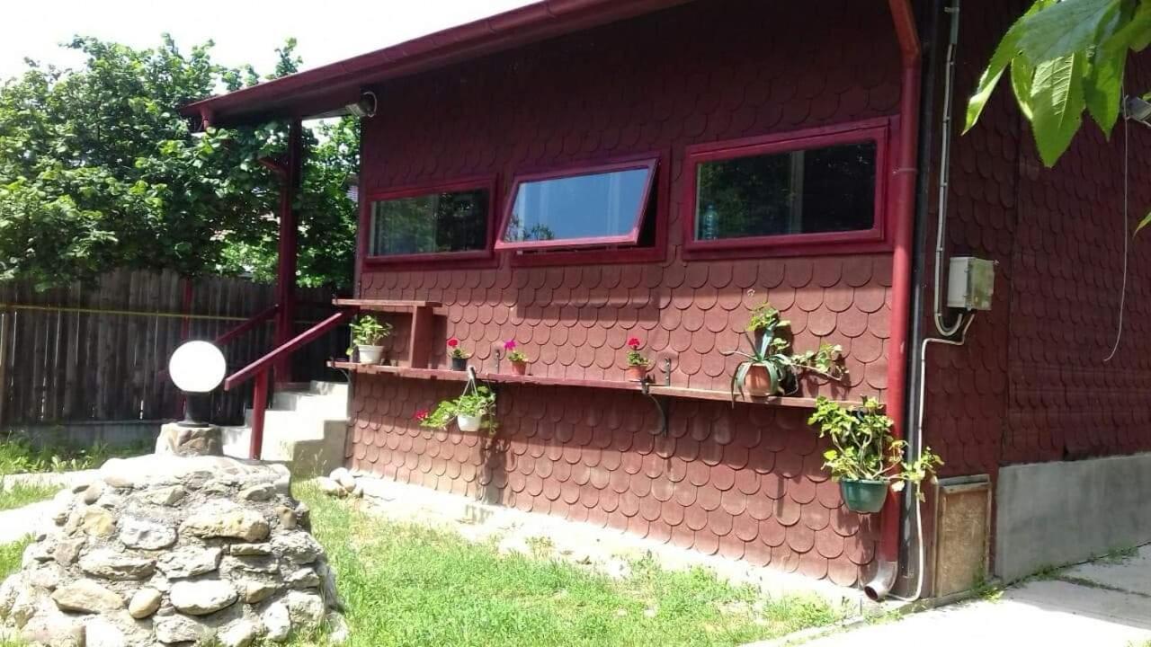Canadian House Sărata-Monteoru Extérieur photo